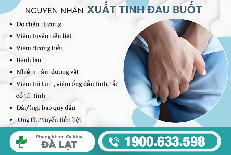 Hình ảnh minh họa